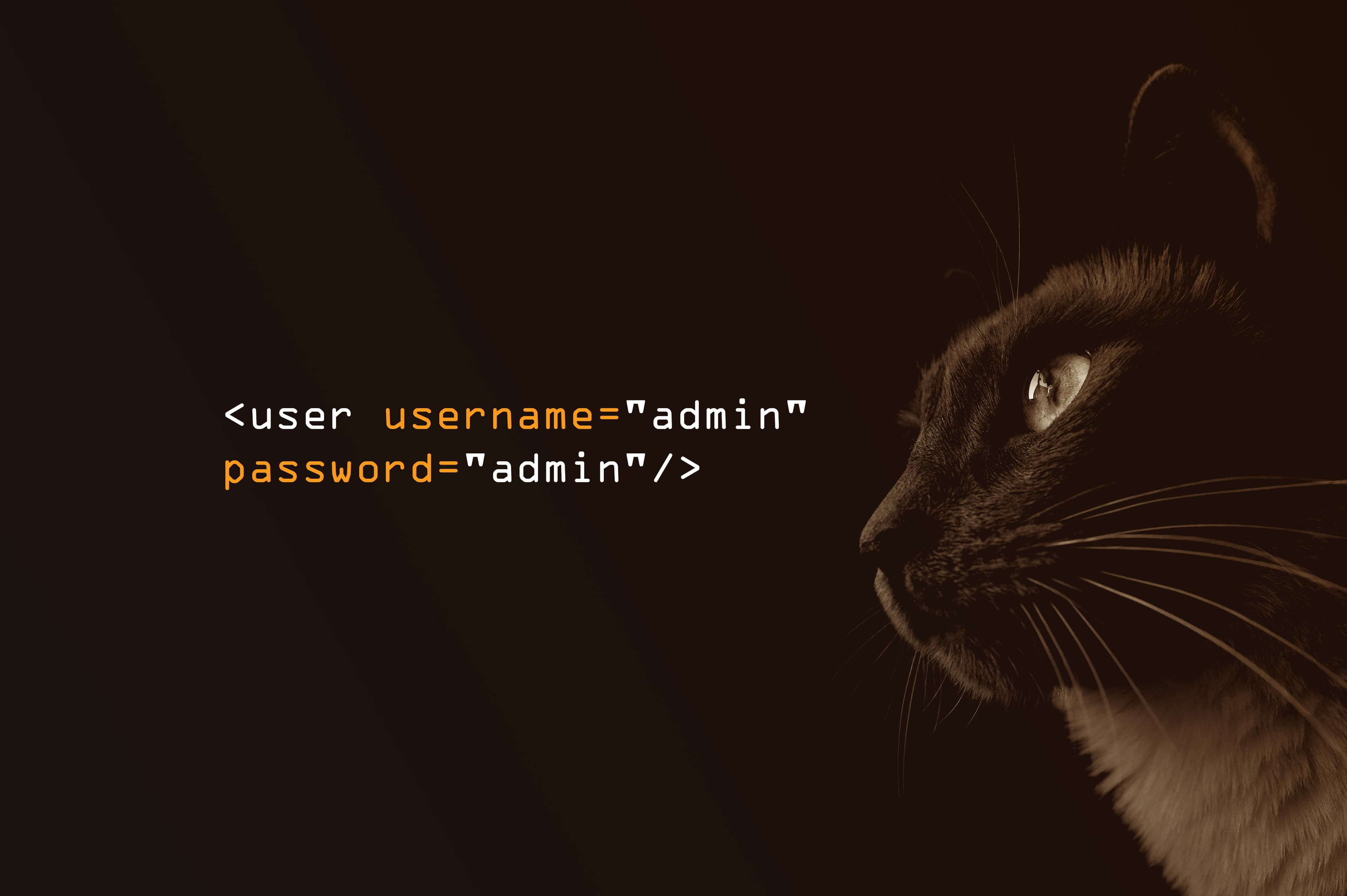 Cybersecurity Expert Insights - Using penetration tests to find security vulnerabilities in Apache Tomcat.